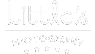Footer Logo